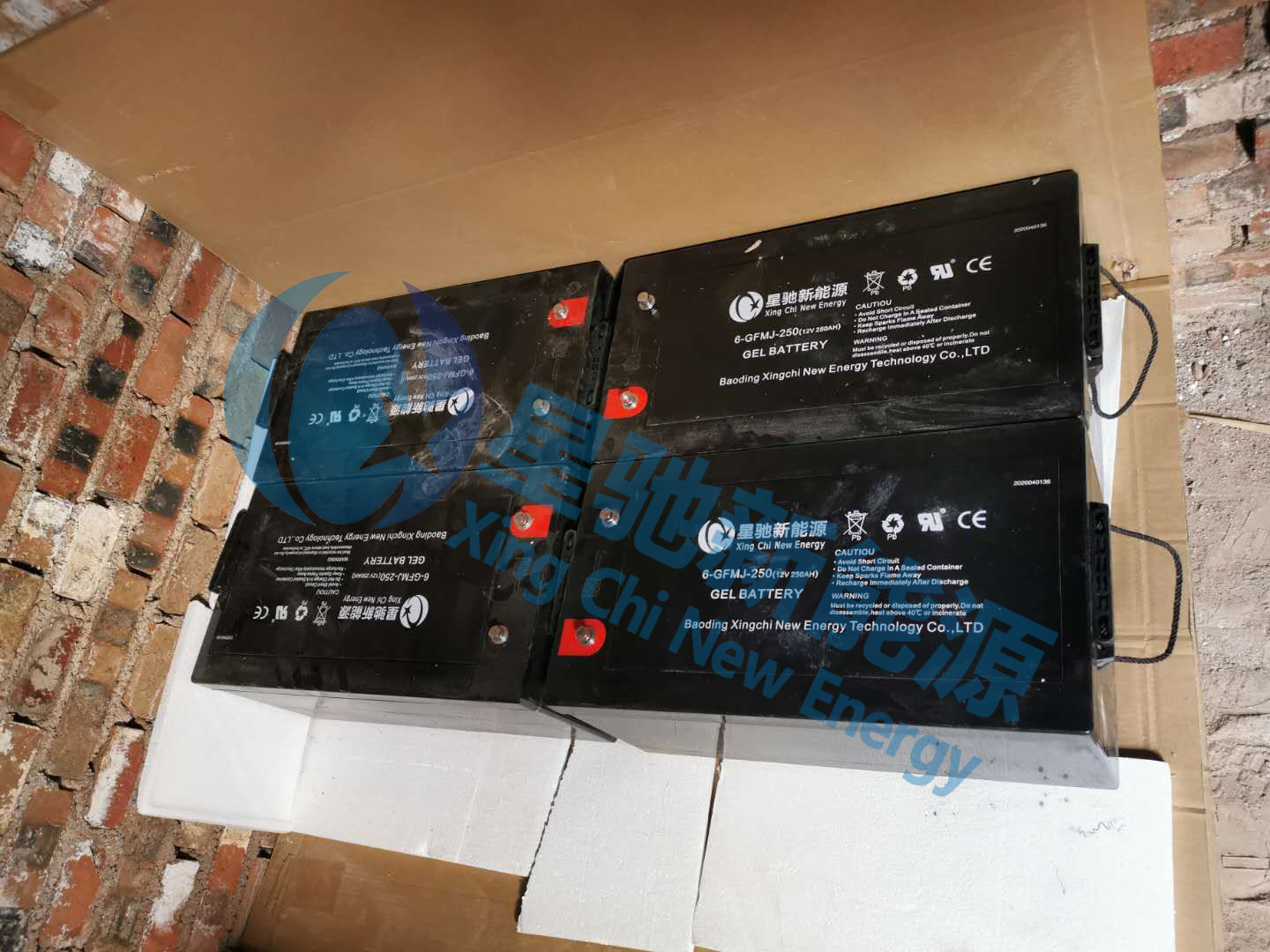 �B(y��ng)ֳ��(ch��ng)����x�W(w��ng)���ϵ�y(t��ng)